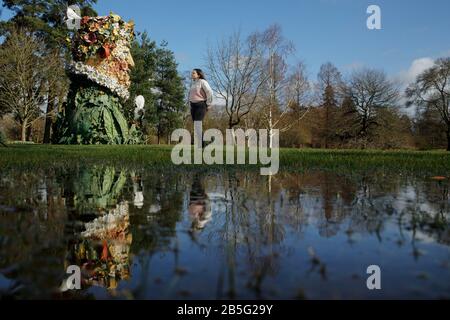 Besucher Charlotte France (13), sieht Artwork 'Spring' an, Teil der "The Four Seasons"-Bildhauerserie des US-Künstlers Philip Haas. Die Sammlung überlebensgroßer Büsten wird im RHS Garden Wisley für seine große Kunstausstellung 2020 ausgestellt. Die Ausstellung, die am 9. März für die Öffentlichkeit zugänglich ist und bis zum 30. September läuft, bietet den Besuchern die Möglichkeit, die Skulpturen, die in Großbritannien gezeigt werden, nur zum zweiten Mal zu sehen. Stockfoto