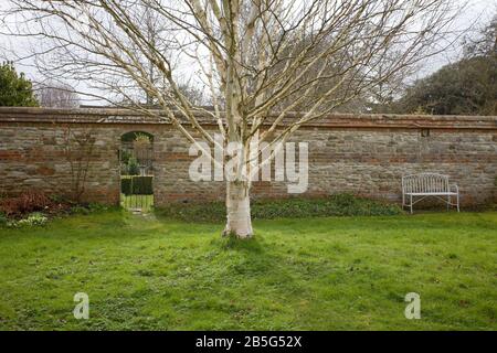 Ummauerter Garten im Frühjahr, Oxfordshire, Großbritannien Stockfoto