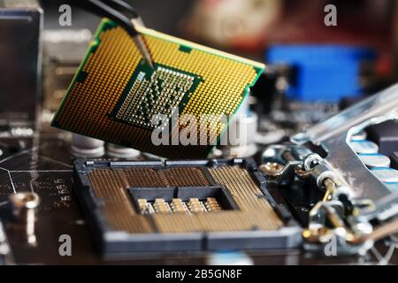 Elektronik Ingenieur der Computertechnologie. Wartung Computer cpu-Hardware Upgrade der Komponenten auf der Hauptplatine. Pc-Reparatur, Techniker und Industrie sup Stockfoto