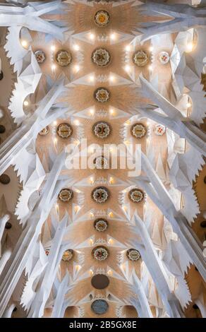 In Barcelonas Sagrada Família. Stockfoto