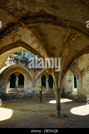 Sehen Sie SW im gewölbten Innenraum des Zellarers mit dem Refektorium der Laienbrüder oben, Waverley Abbey, Farnham, Großbritannien, das erste zisterziensische Haus in England Stockfoto