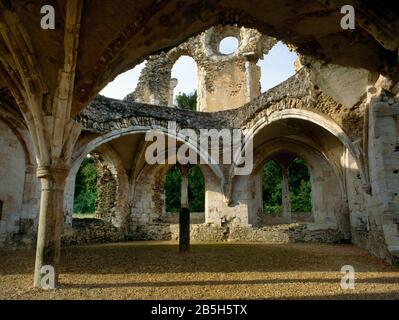 Sehen Sie sich SSE im gewölbten Innenraum der Zellarer-Reihe mit Laienbrüderrefektorium oben an, Waverley Abbey, Farnham, Großbritannien: Erstes zisterziensisches Haus in England. Stockfoto