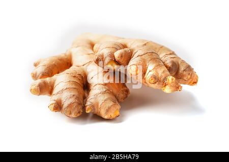 Frische Ingwerwurzel auf weißem Hintergrund, Nahaufnahme isolieren. Ingwer-Apotheke. Stockfoto