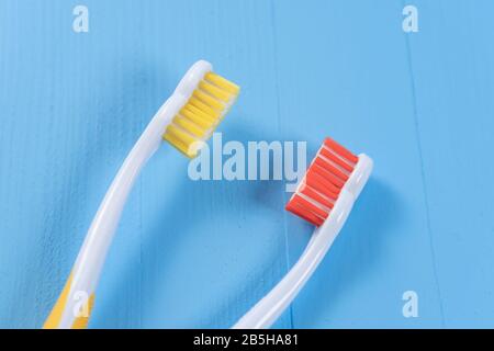 Zwei helle Zahnbürsten auf hellblauem Grund gegenüber. Orange und Gelb. Das Konzept der familiären Liebesbeziehungen und der Morgenhygiene Stockfoto