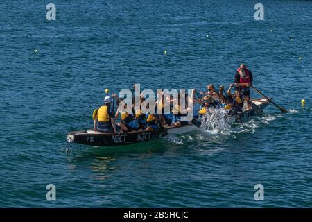 Dragon Boat Team versucht, die Ruderer in Einklang zu bringen Stockfoto