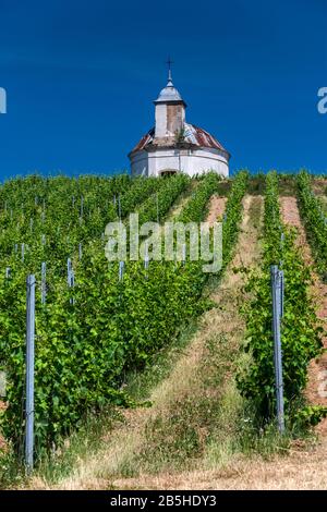 Weinberg, Kapelle auf dem Hügel, Tokaj Weinregion, Northern Uplands, Borsod-Abauj-Zemplen Kreis, Ungarn Stockfoto