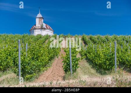 Weinberg, Kapelle auf dem Hügel, Tokaj Weinregion, Northern Uplands, Borsod-Abauj-Zemplen Kreis, Ungarn Stockfoto