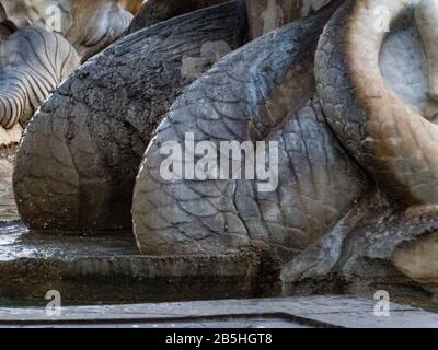 Architektonische Details der Fontana del Moro Moro oder Brunnen. Rom. Italien Stockfoto