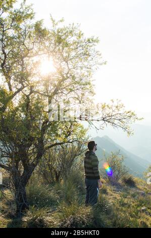 Seitenansicht des erwachsenen Männchens in legeren Kleidungsstücken auf grasbewachsenem Boden in der Nähe des jungen Baums am sonnigen Tag in den Bergen Stockfoto