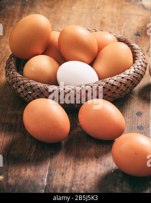 Huhn, Ente weiße und braune unbehackte Eier in einem Korb auf Holzhintergrund. Organische, gesunde, vollständige Proteinnahrung. Stockfoto