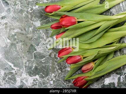 Frische rote Tulpen blühen über Steingrund. Flaches Layout mit Kopierbereich. National Flowers Day. Stockfoto