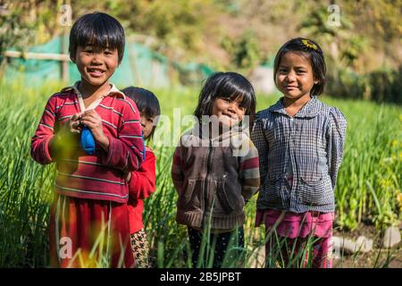 Kinder im Minhat, Myanmar, Asien. Stockfoto