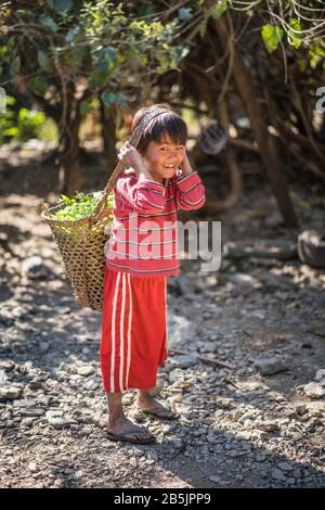 Kinder im Minhat, Myanmar, Asien. Stockfoto