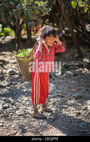 Kinder im Minhat, Myanmar, Asien. Stockfoto