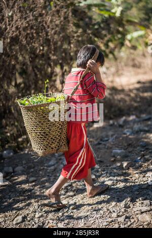 Kinder im Minhat, Myanmar, Asien. Stockfoto