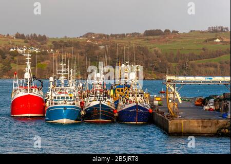 Union Hall, West Cork, Irland. 8. März 2020. Nach einem Tag voller Sonnenschein und Duschen verlegen sich Fischtrawler für die Nacht. Kredit: AG News/Alamy Live News Stockfoto