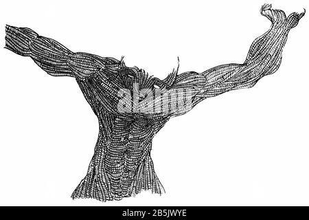 Farbzeichnung (Hatch Work) des Konturierten, Detailreichen Muskulösen Körpers in einem Texturierten, Einzigartigen Stil. Künstlerische Manuelle Illustration. Schmerzängstigkeit, Angst Vor Der Depression. Stockfoto