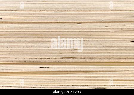 Baumaterial Sperrholzhintergrund, Textur. Nahaufnahme. Stockfoto