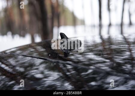 Eine kleine schwarze Antenne auf dem Dach eines schwarzen Autos in Form einer Haifischflossen dicht mit Kopierraum Stockfoto
