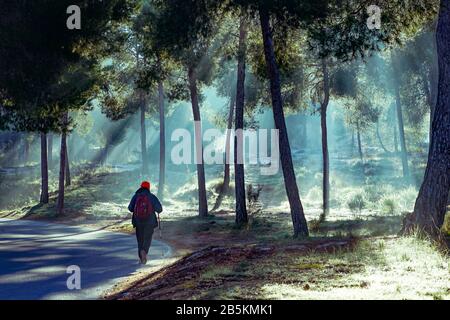Mann, der im Morgengrauen mit Lichthalos im Lost Valley, Sierra de Carrascoy, spazieren geht. Murcia, Spanien Stockfoto