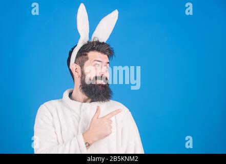 Lustiger Hünenmann mit Bart und Schnurrbart. Konzept des Ostersymbols. Kerl bärtiger Flusspferd süßer sanfter, bunter langer Ohren blauer Hintergrund. Respekt vor Traditionen. Osterhase. Mann trägt einen kuscheligen Plüschanzug. Stockfoto