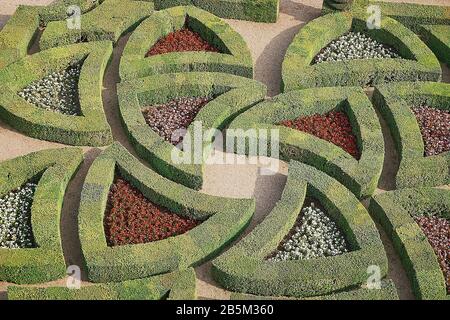 Parterre französische Kästenhecken in einem formellen Garten Stockfoto