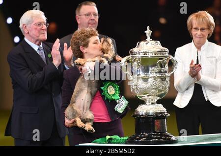 Maisie, die mit ihrem Besitzer Kim McCalmont und dem Moderator Peter Purvis (links) im Exhibition Centre (NEC) während der Crufts Dog Show die Drahthaaren-Dachshund-Siegerin Von Best in Show 2020 im Birmingham National. Stockfoto