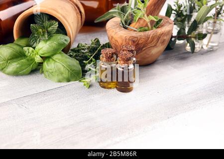 Homegrown und aromatischen Kräutern auf rustikalen Hintergrund. Stellen Sie küchenkräuter. Grün wächst, Salbei, Oregano, Thymian, Basilikum, Minze und Oregano. Stockfoto