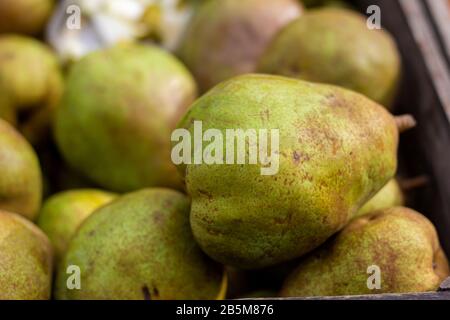 Ein hochgehendes Porträt einer grünen Birne in einem Korb voller Birnen. Die Frucht wird biologisch angebaut und auf einem Markt in einem Marktstall zwischen anderen Kuchen verkauft Stockfoto