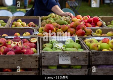 Ein Porträt von Holzkisten voller verschiedener Arten von gesunden und köstlichen, selbst erwachsenen und biologischen Früchten. Es gibt hauptsächlich verschiedene Arten von Appl Stockfoto