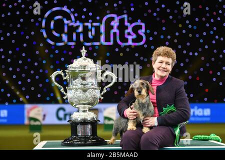 Maisie, die mit Ihrem Besitzer Kim McCalmont im Exhibition Centre (NEC) während der Crufts Dog Show die Drahthaaren-Dachshund-Siegerin Von Best in Show 2020 im Birmingham National. Stockfoto