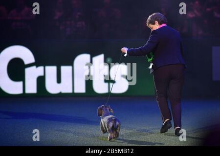 Maisie, die mit Ihrem Besitzer Kim McCalmont im Exhibition Centre (NEC) während der Crufts Dog Show die Drahthaaren-Dachshund-Siegerin Von Best in Show 2020 im Birmingham National. Stockfoto