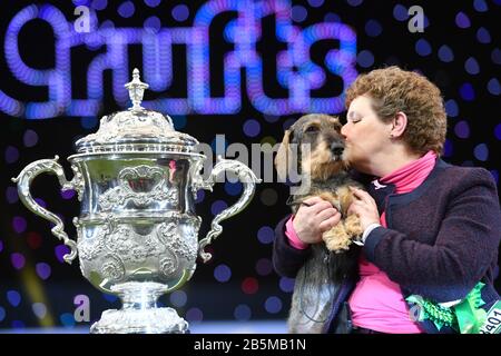 Maisie, die mit Ihrem Besitzer Kim McCalmont im Exhibition Centre (NEC) während der Crufts Dog Show die Drahthaaren-Dachshund-Siegerin Von Best in Show 2020 im Birmingham National. Stockfoto