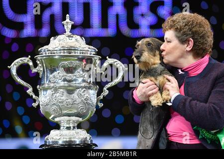 Maisie, die mit Ihrem Besitzer Kim McCalmont im Exhibition Centre (NEC) während der Crufts Dog Show die Drahthaaren-Dachshund-Siegerin Von Best in Show 2020 im Birmingham National. Stockfoto