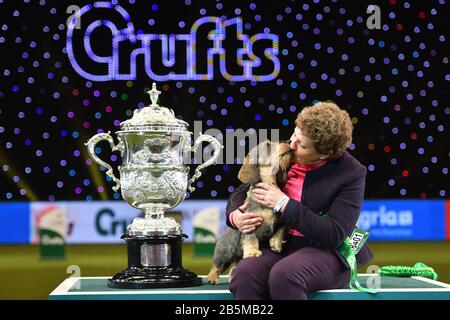 Maisie, die mit Ihrem Besitzer Kim McCalmont im Exhibition Centre (NEC) während der Crufts Dog Show die Drahthaaren-Dachshund-Siegerin Von Best in Show 2020 im Birmingham National. Stockfoto