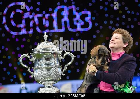 Maisie, die mit Ihrem Besitzer Kim McCalmont im Exhibition Centre (NEC) während der Crufts Dog Show die Drahthaaren-Dachshund-Siegerin Von Best in Show 2020 im Birmingham National. Stockfoto