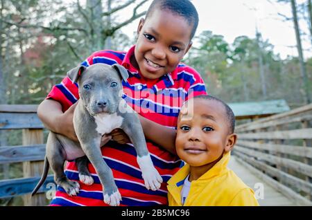 Zwei afroamerikanische Jungen spielen mit ihrem neuen Pitbull-Welpen im Sam D. Hamilton Noxubee Wildlife Refuge, 12. März 2012, in Brooksville, Mississippi. Stockfoto