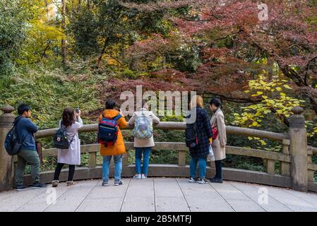Touristen tragen Winterkleidung, Yogogi Park, Harajuku, Tokio, Japan Stockfoto