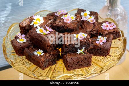 Schokoladen-Brownies auf einer Glasplatte, die mit Blumen für eine Party dekoriert ist, selektiver Fokus. Stockfoto