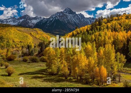 Aspen, Willow Swamp, Mount Sneffels, Dallas Divide, Uncompahgre NF CO Stockfoto