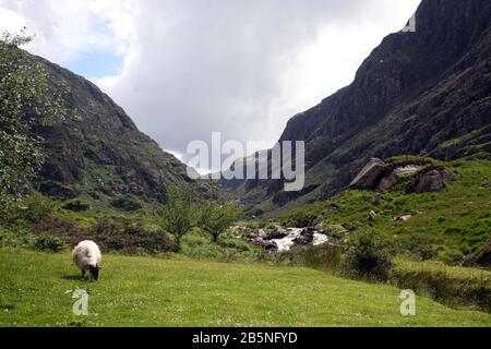 Lücke Von Dunloe Der Name Gap von Dunloe stammt vom irischen dun Lóich ("Lóich's fort"), benannt nach dem Chieftain eines Clans, der hier im Altertum lebte Stockfoto