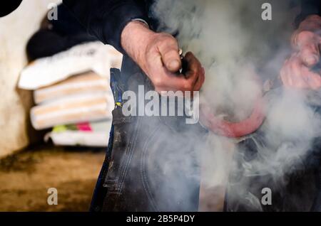 Heißes Schuhlaufen auf einem Pferd, Schmied, Reitsport Stockfoto