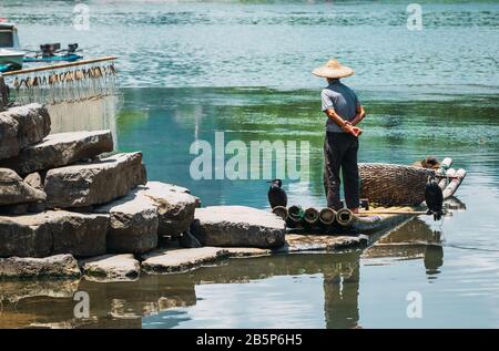 Cormorant Fisherman bei Der Traditionellen Darstellung seiner Vögel auf dem Li-Fluss in Xingping, Provinz Guangxi, China. Stockfoto