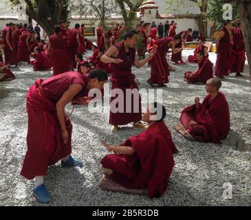 Die philosophische Nachmittagsdebatte ist Teil der Mönchserziehung, Sera Kloster, Lhasa, Tibet Stockfoto