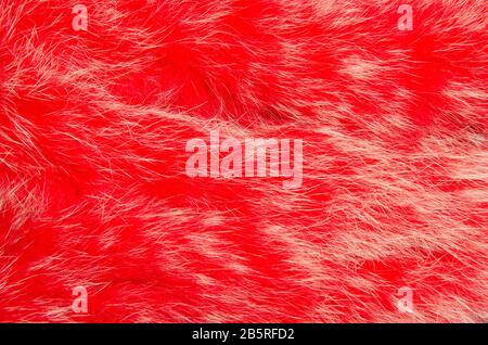 Textur aus rot gefärbtem Fell mit gebleichten Spitzen. Hintergrundbild. Stockfoto