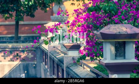 Die Blume fällt auf die Tür des Buddha und die Blumen sind wunderschön Stockfoto