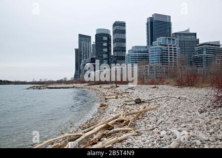 Wohnhäuser in der Innenstadt von Toronto am Seeufer von Ontario Stockfoto