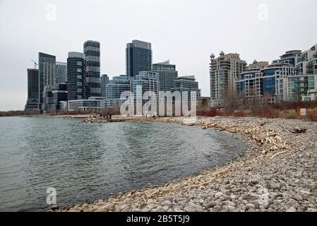 Wohnhäuser in der Innenstadt von Toronto am Seeufer von Ontario Stockfoto