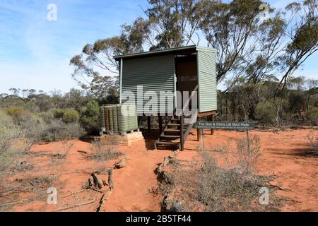 Der Vogel Don und Chris Hill verstecken sich im Gluepot Reserve, South Australia, SA, Australien Stockfoto