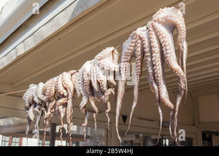 Tintenfische Tentakel, die in der Sonne in der Nähe eines Cafés in griechenland trocknen Stockfoto